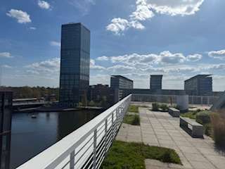 Wohnung zum Mieten in Berlin 1.350,00 € 50 m²