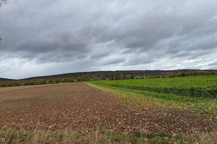 Grundstück zu verkaufen in Springe-Alvesrode 135.000,00 € 1030 m²