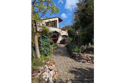 Einfamilienhaus mit Galerie plus Sanierungsobjekt und 2000m² Garten - Wiltingen