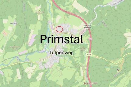 Mehrgenerationenhaus - 440.000,00&nbsp;EUR Kaufpreis, ca.&nbsp; 445,00&nbsp;m&sup2; in Nonnweiler (PLZ: 66620)