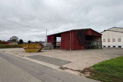 Grundstück zu verkaufen in Freckenfeld 164.000,00 € 814 m²