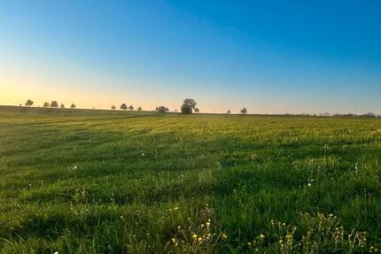 Ruhiges Uni-NahesZimmer in 2er WG - Tübingen Schönblick / Winkelwiese