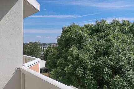 Wohnung zum Mieten in Freiberg 325,00 € 50 m²