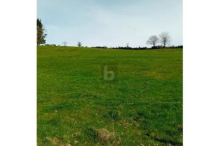 GRUNDSTÜCK MIT BAUPOTENZIAL UND WEITBLICK - Burbach