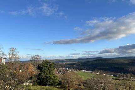 Grundstück zu verkaufen in Eisenberg (Pfalz) Stauf 199.000,00 € 3496 m² - Eisenberg (Pfalz) / Stauf