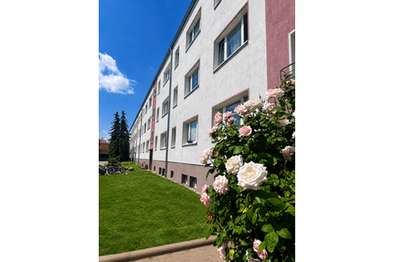 Wohnung zum Mieten in Beilrode 300,00 € 60 m²