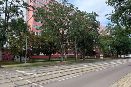 Wohnung zum Mieten in Magdeburg 296,00 € 49.47 m²