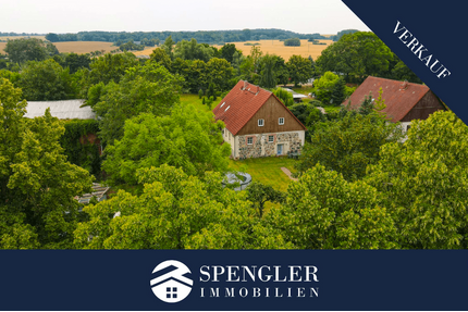 Haus zum Kaufen in Möllenhagen 329.000,00 € 320 m²