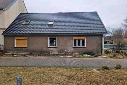Haus zum Verkauf - 30.000,00&nbsp;EUR Kaufpreis, ca.&nbsp; 95,00&nbsp;m&sup2; in Lauchhammer (PLZ: 01979)