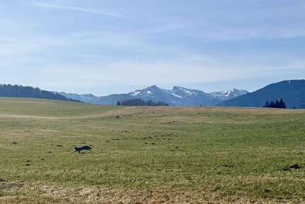 Grundstück zu verkaufen in Bad Kohlgrub 675.000,00 € 1080 m²