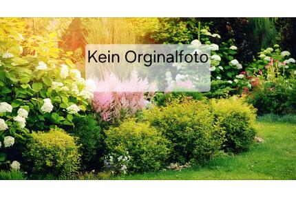 Kleingarten - 950,00&nbsp;EUR Kaltmiete, ca.&nbsp; 0,00&nbsp;m&sup2; in Anklam (PLZ: 17389)