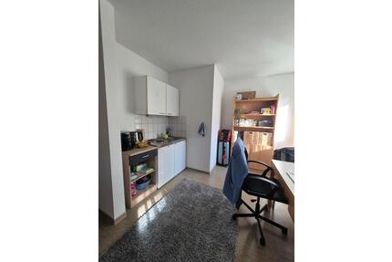 Möbliertes 1-Zi.-Apartment zur Untermiete (01.07. - 30.09) - Mannheim Neckarstadt-Ost