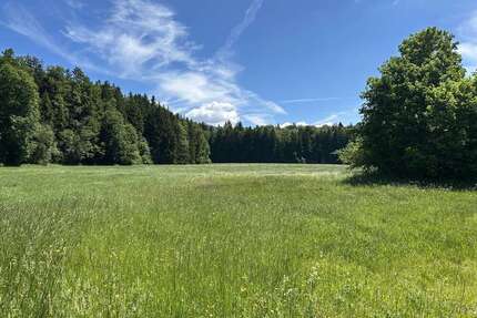 Grundstück zu verkaufen in Siegsdorf Hammer 717.500,00 € 1435 m² - Siegsdorf / Hammer