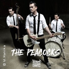 The Peacocks - The Hoodoo Sinners