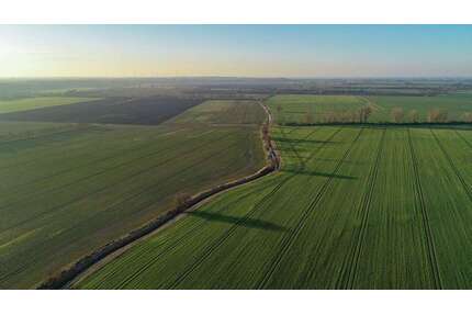 Grundstück in Flechtingen 160.000,00 € 135539 m²