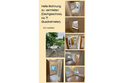Dachgeschosswohnung mit Gemeinschaftsgarten in Hollfeld - Bayreuth Meyernberg