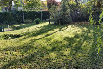 Wohnung zum Mieten in Burg 301,00 € 43 m²