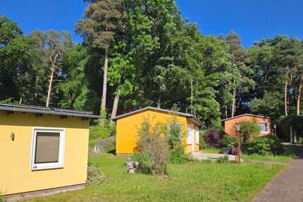 Haus zum Kaufen in Korswandt 399.000,00 € 240 m²