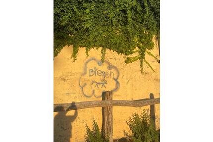 Zimmer im EFH - 350,00&nbsp;EUR Kaltmiete, ca.&nbsp; 8,00&nbsp;m&sup2; in Steinhöfel (PLZ: 15518)