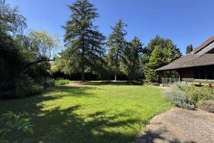 Haus zum Kaufen in Salzgitter OT Drütte 429.000,00 € 410 m²