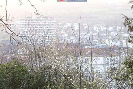 Exklusives Baugrundstück in Premium Lage von Lörrach! für Private oder Bauträger geeignet.