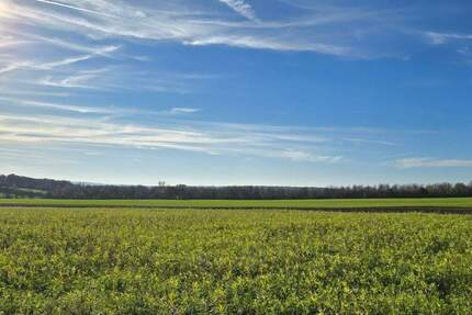 Trier-Biewer - Grundstück mit enorm viel Potenzial ! Machen Sie Ihr Geschäft !!! - Trier / Biewer Trier-Nord