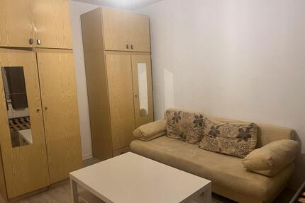 Apartment for Handover Immediately Furnitures must be Purchased - Dresden Blasewitz