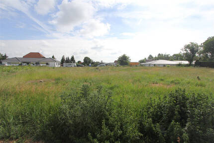 Baugrundstück in Steuden-Provisionsfrei - Teutschenthal-Steuden