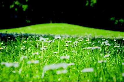 Grundstück zu verkaufen in München 1.495.000,00 € 749 m²