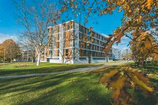 Stadtgarten Wellekamp- Stilvolle Wohnung mit großzügigem Raumgefühl - Wolfsburg