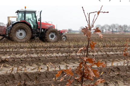 Grundstück in Fridolfing 698.000,00 € 38587 m²