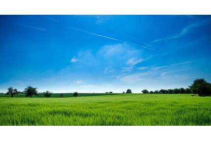 Unbebautes Grundstück in ruhiger Lage von Eitensheim zu verkaufen.