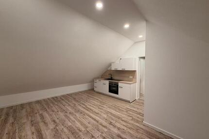 Helle 2-Zimmer-Wohnung in ruhiger Lage – Erstbezug nach Renovierung - Mosbach