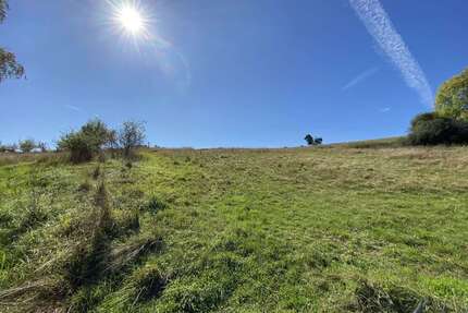 Haus zum Kaufen in Anschau-Mimbach 595.000,00 € 386 m²