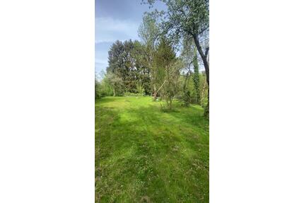 FreizeitObst Grundstück zur PachtMiete in Kronberg im Taunus