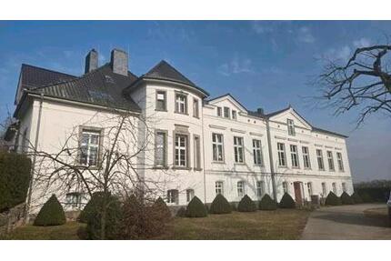 wunderschöne großzügige 2 Raum Wohnung im Gutshaus - Wulkenzin