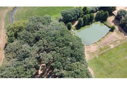 Grundstück in Beesten 320.000,00 € 40000 m²