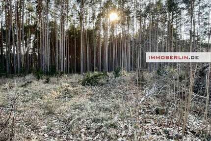 Grundstück zu verkaufen in Storkow 150.000,00 € 856 m²