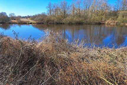 Haus zum Kaufen in Sereetz 550.000,00 € 150 m²