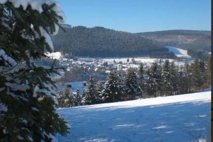 Ferienwohnung Sauerland Winterberg ❣️bis 4 Personen W1