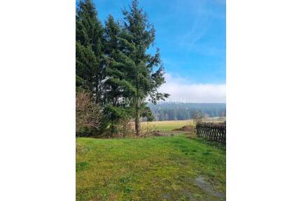 Wer die Ruhe liebt, ist hier genau richtig - Wunderschönes Grundstück mit unverbaubarem Blick in Altenberg