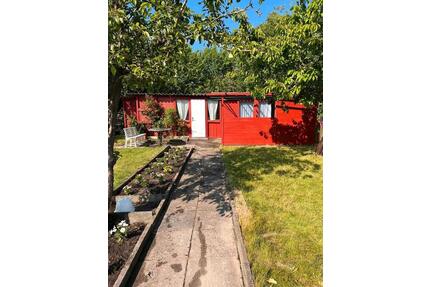 Schöner Garten mit Laube und Gewächshaus in ruhiger Lage - Lübeck Sankt Gertrud