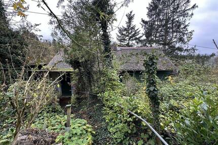 Seltenes Garten-, Wald- und Freizeitgrundstück in Würzburg Oberdürrbach!