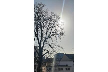 4 Zimmerwohnung mit Balkon 5 min zum Rhein, Schloss, Uni, Stadt - Mannheim Almenhof