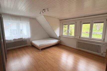 2 Zimmer Wohnung in Baiersbronn Oberdorf