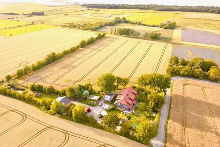 Ferienwohnung mit Hund, Fehmarn, Ostsee, Strandnah, Alleinlage