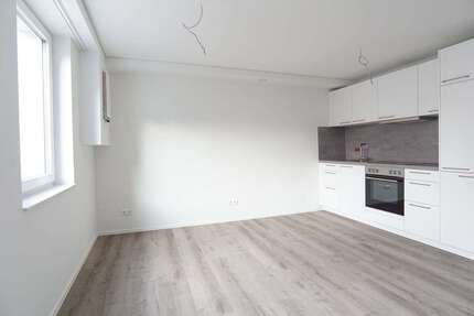 Wohnung zum Mieten in Sinsheim 728,00 € 52.1 m²