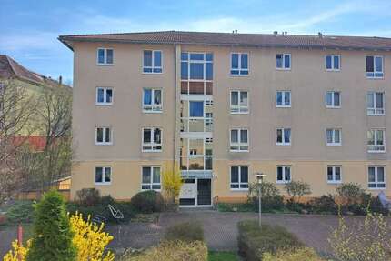 Wohnung zum Mieten in Dresden 636,00 € 60.5 m²