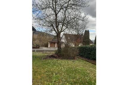 Garten zu verpachten - 130,00&nbsp;EUR Kaltmiete, ca.&nbsp; 0,00&nbsp;m&sup2; in Ebermannstadt (PLZ: 91320)