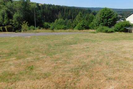 Grundstück zu verkaufen in Neuhütten 41.000,00 € 806 m²